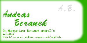 andras beranek business card